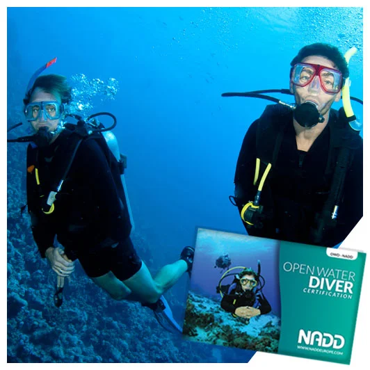Open Water Diver