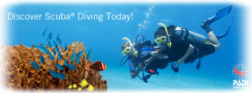 Corso Open Water Diver